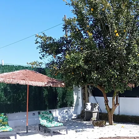Casa Amelia 1ªp A 50 M Camino De Santiago Padrón