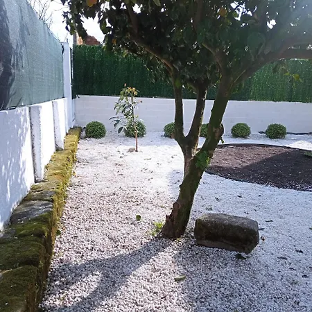Holiday home Casa Amelia 1ªp A 50 M Camino De Santiago