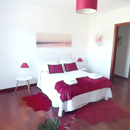 Casa Amelia 패트론