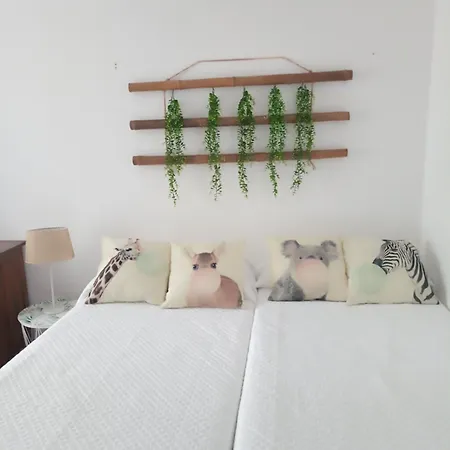 Casa Amelia 1ªp A 50 M Camino De Santiago Holiday home