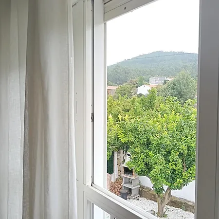 Casa Amelia
